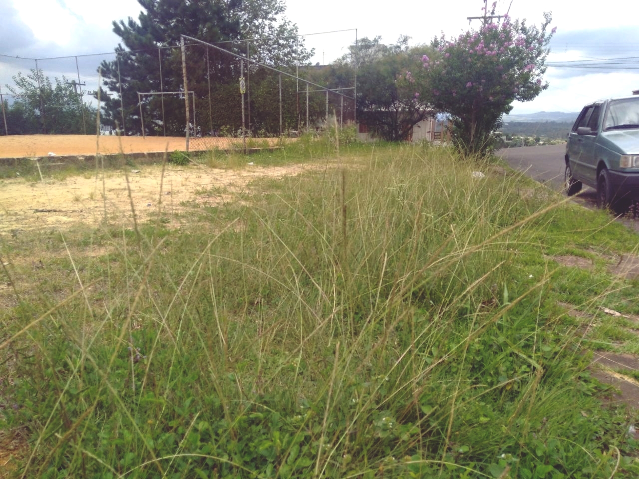 Vereador Nor Boeno pede limpeza e roçada de praça localizada no bairro Rondônia