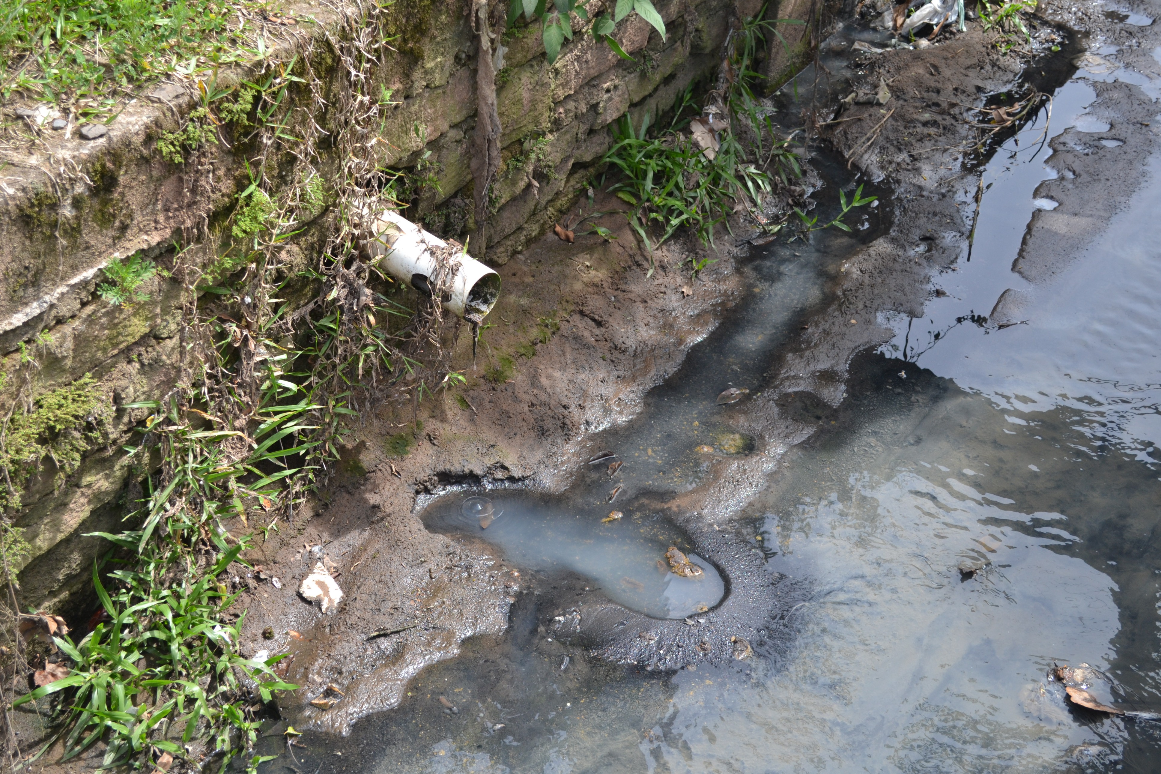 VEREADOR NOR BOENO E SECRETÁRIO DE OBRAS ATENDEM DEMANDAS DA COMUNIDADE (17).JPG