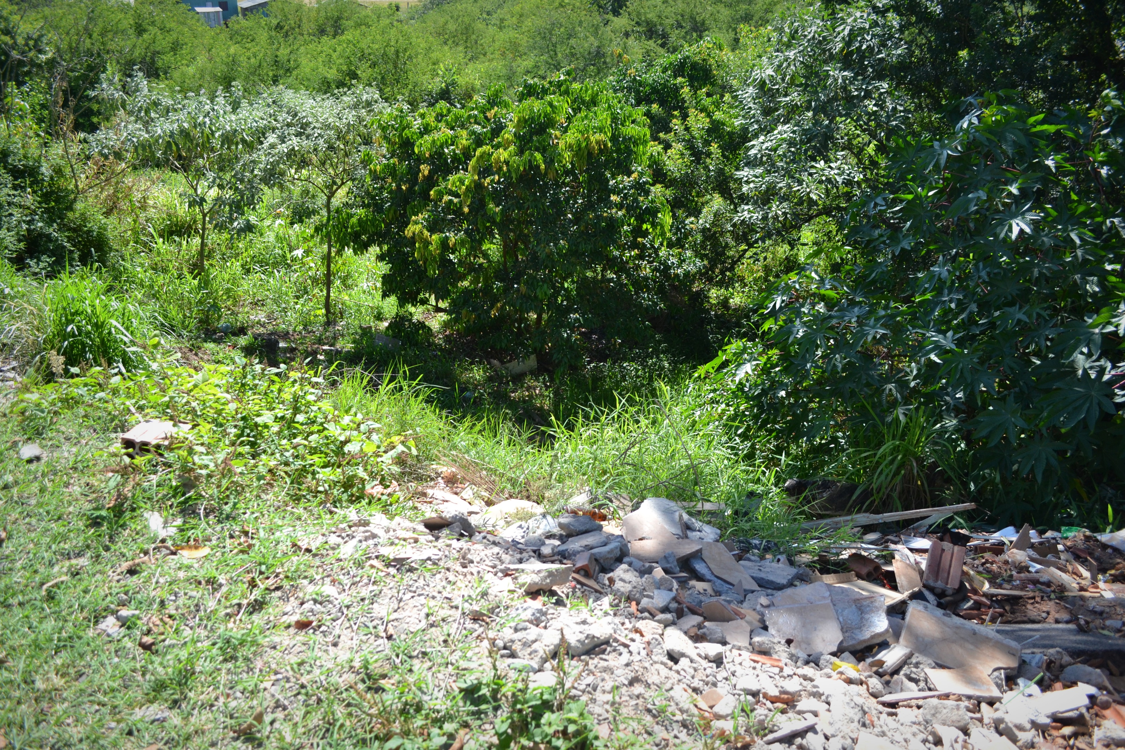 VEREADOR NOR BOENO SOLICITA CONSERTO DE REDE DE ESGOTO NA VILA DAS FLORES (9).JPG