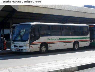 Câmara realiza audiência pública para debater transporte coletivo e passagem integrada