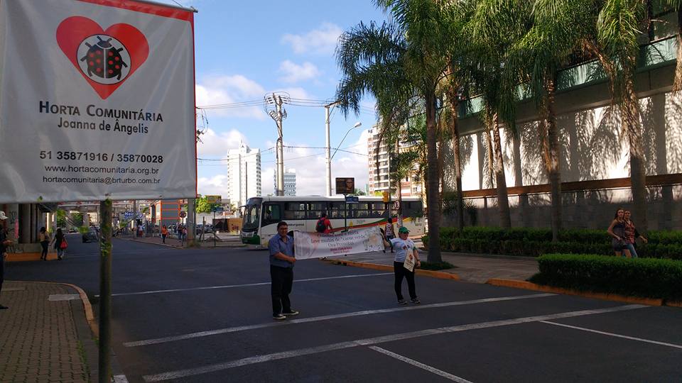 Gabinete: Brizola participa de divulgação da planta ora-pro-nobis, chamada de “carne verde”