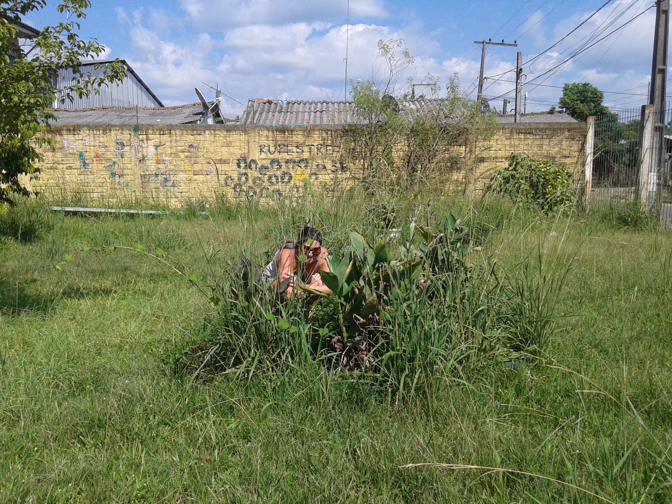 Gabinete: Patrícia encontra mato em escolas e posto de saúde do bairro Canudos