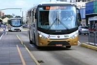Ônibus deverão ter cortinas ou outro dispositivo de proteção solar nas janelas laterais