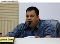 Plantio de árvores de grande porte sob as redes de fios elétricos pode ser proibido