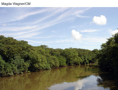 Presidente do Comitê Legislativo do Pró-Sinos divulga seminário