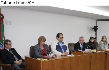 Profissionais falam sobre aspectos da alienação parental em audiência pública