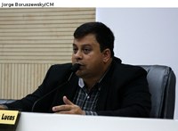 Proibido plantio de árvores de grande porte sob as redes de fios elétricos