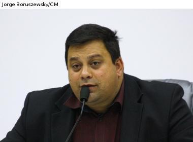 Projeto proíbe plantio de árvores grandes sob as redes de fios elétricos