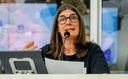 Adiada votação de diretrizes para o Programa Amigos do Bebê