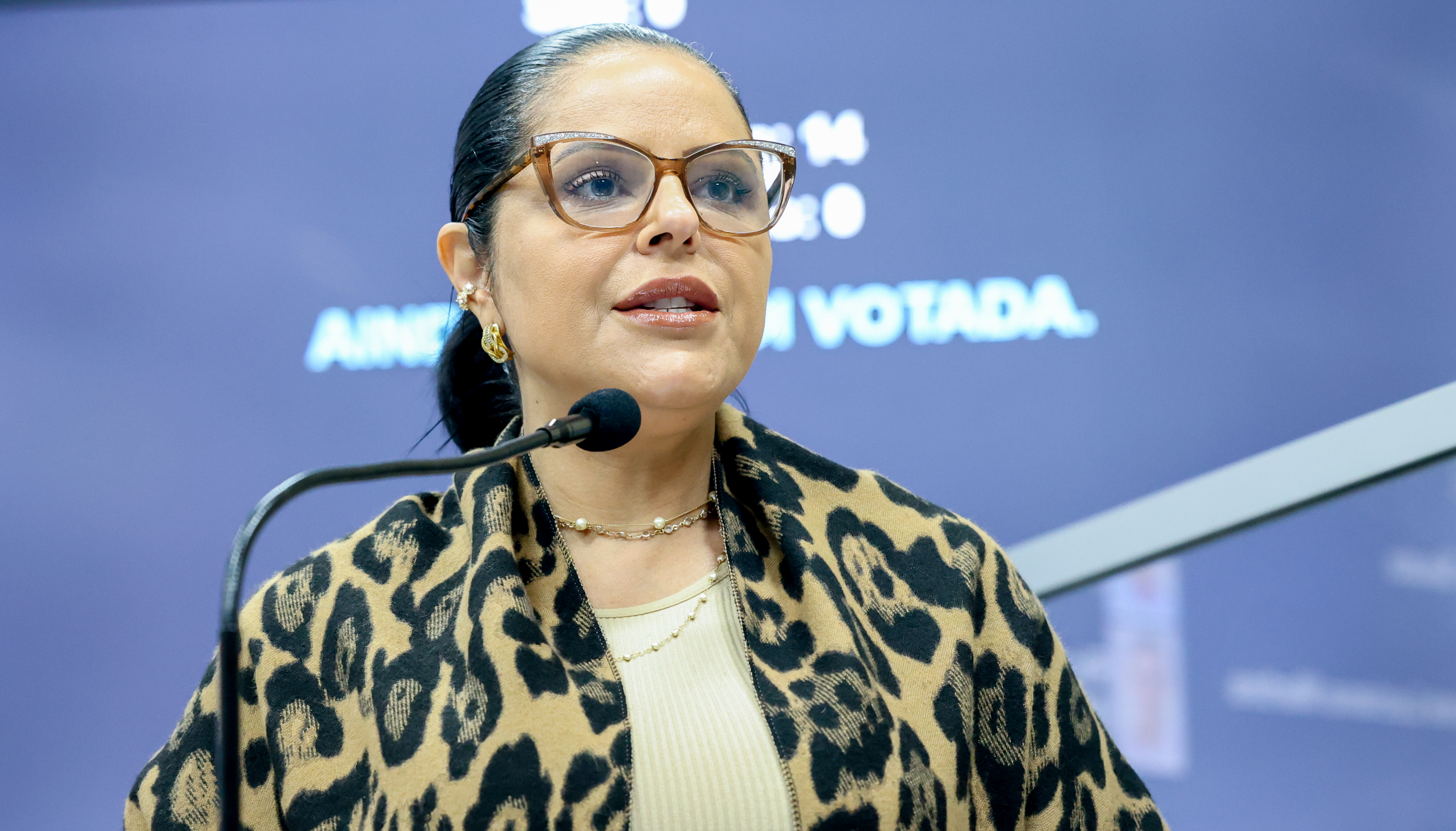Aprovada em primeiro turno valorização e apoio aos protetores de animais