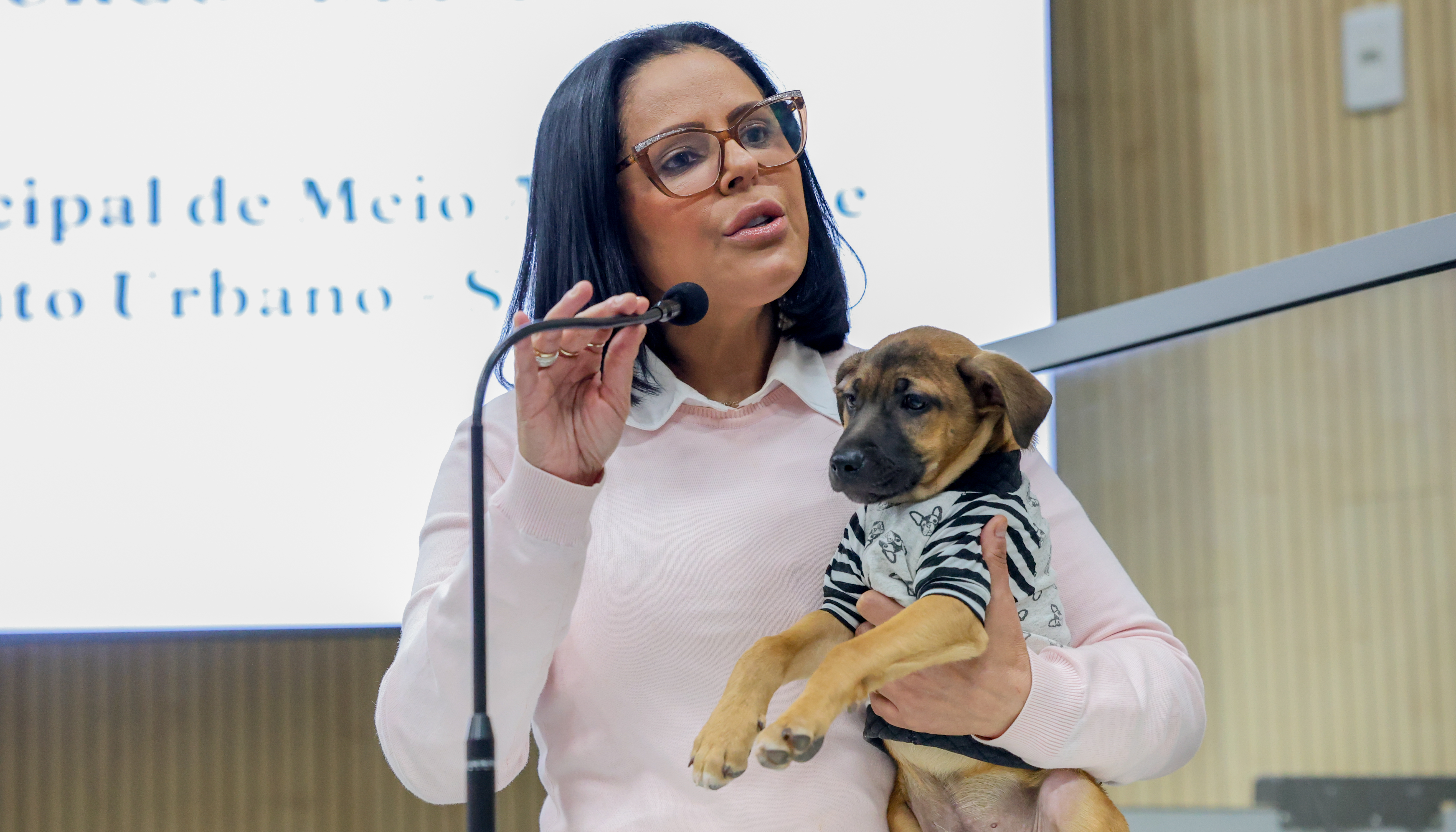 Aprovada política de valorização e apoio aos protetores de animais