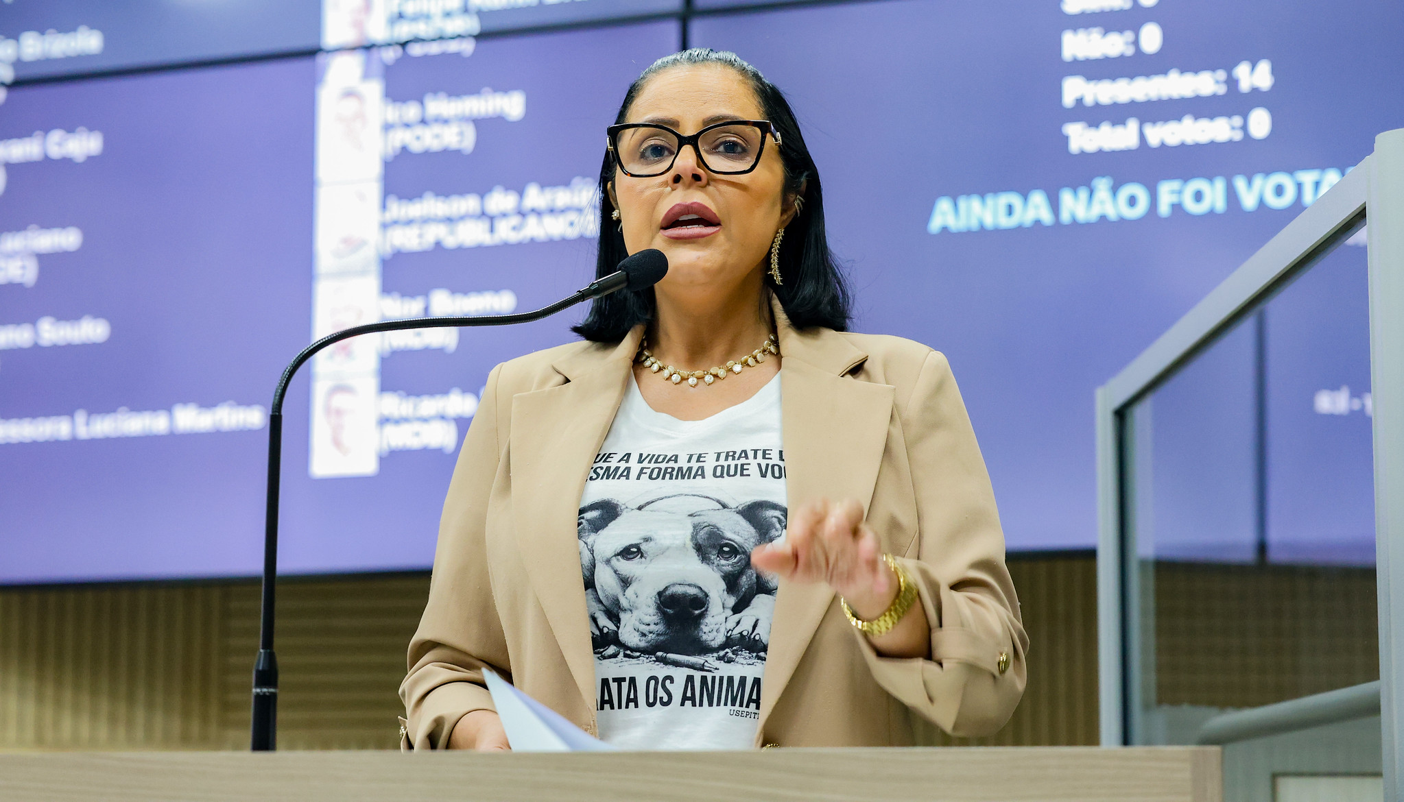 Aprovado projeto que proíbe guarda de animais por pessoas condenadas por maus-tratos