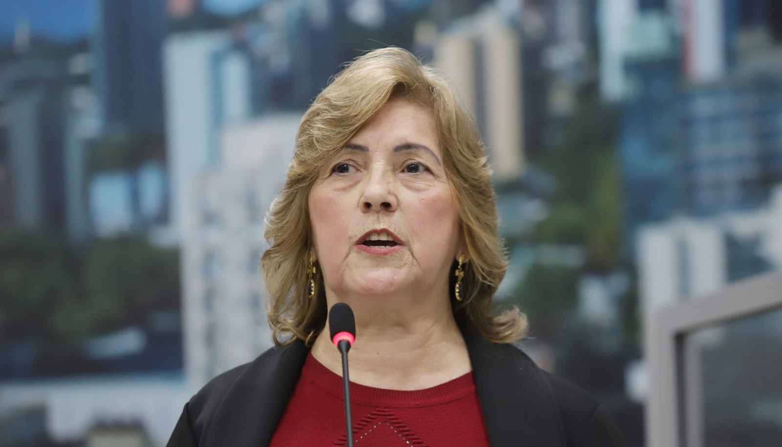 Câmara acolhe veto do Executivo e arquiva Farmácia Veterinária Solidária