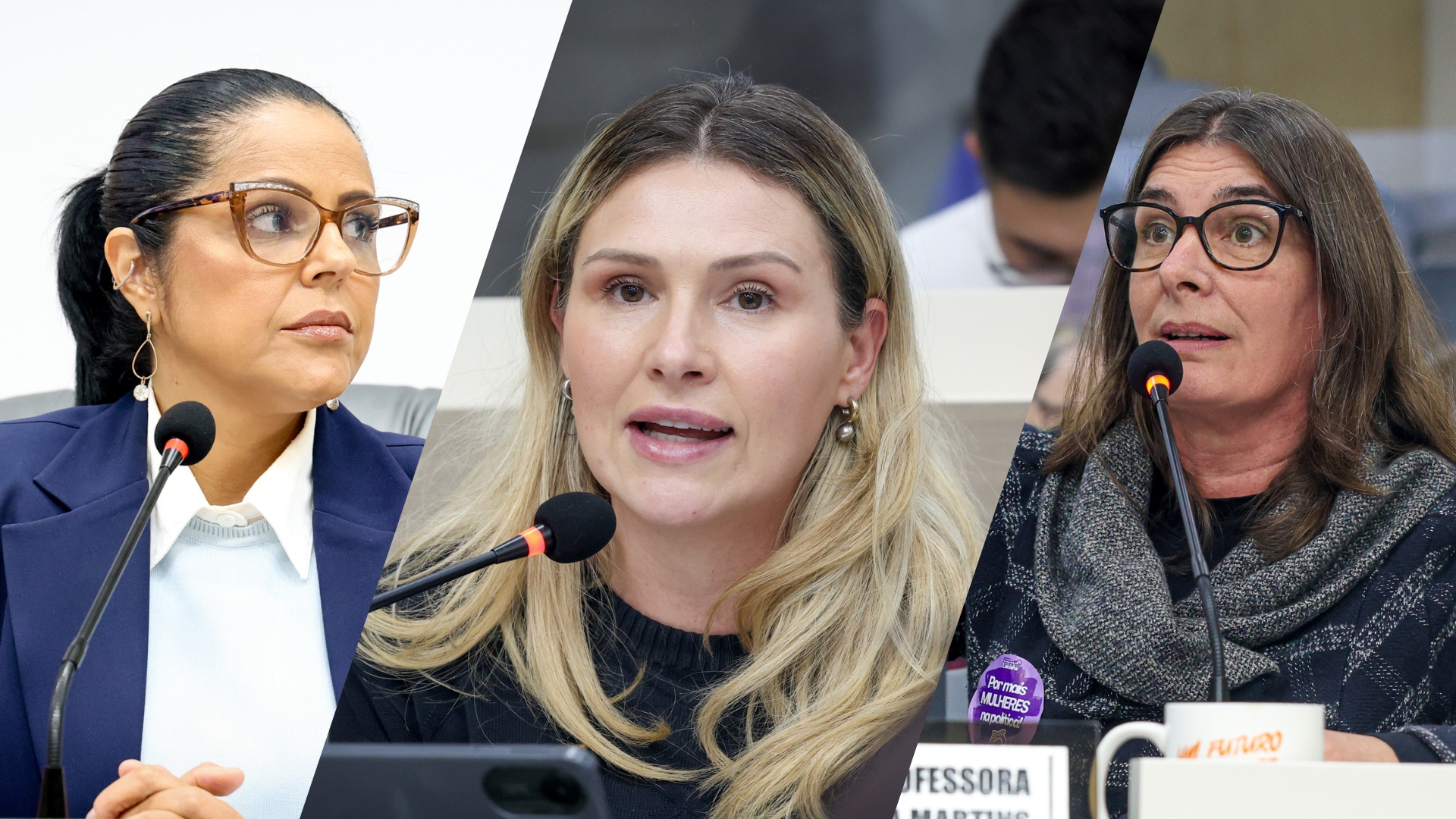 Câmara aprova dia municipal em memória a vítimas de feminicídio