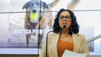 Câmara aprova moção que pede federalização do caso do cão Orelha