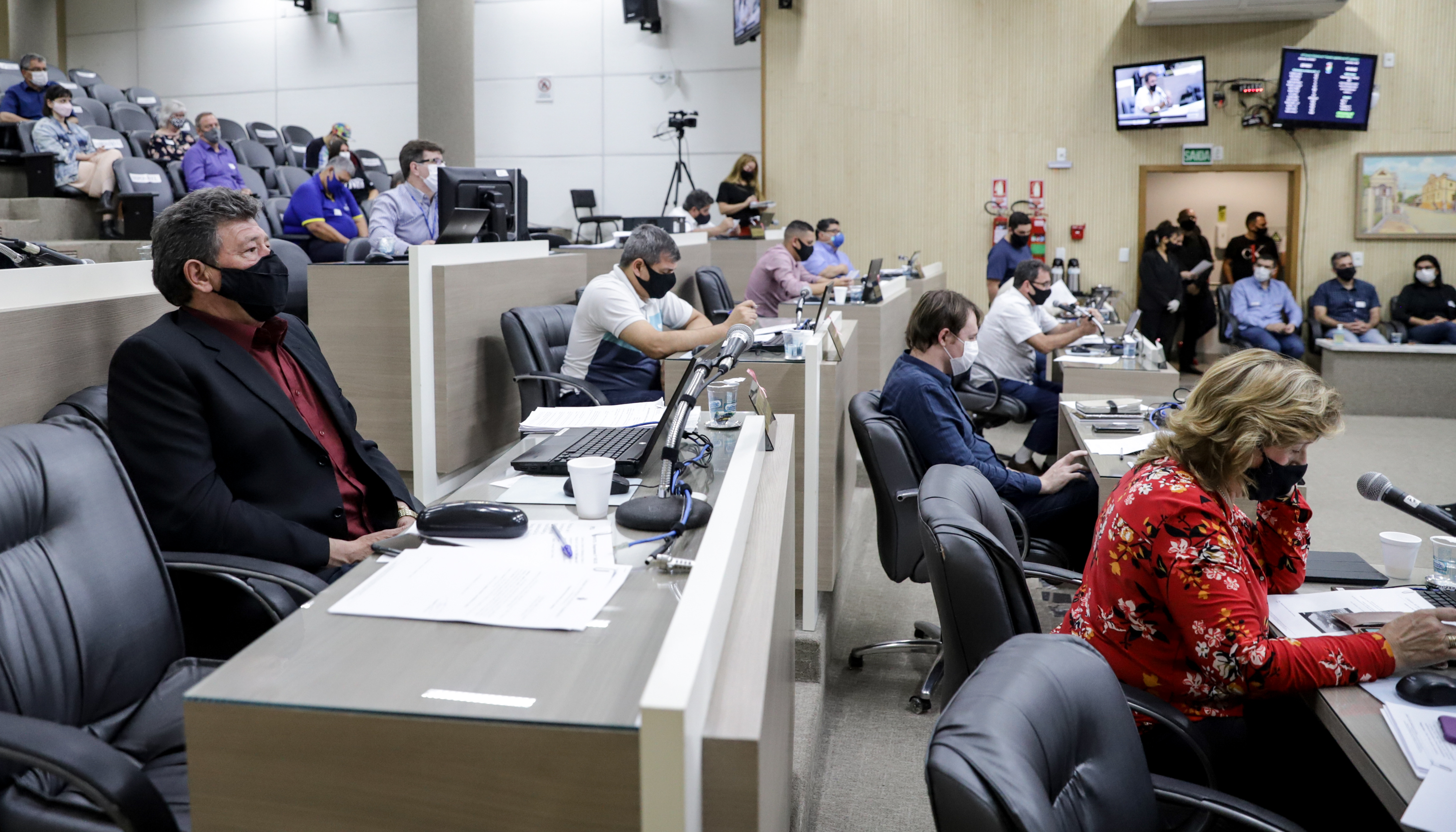 Câmara aprova possibilidade de pagamento em dinheiro por remoção de árvores 