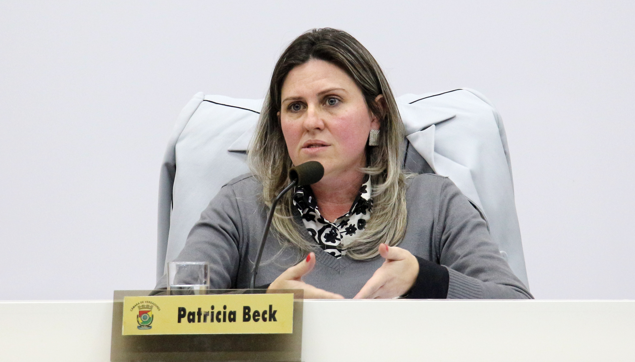 Câmara aprova projeto que altera cargos em comissão de sua estrutura administrativa