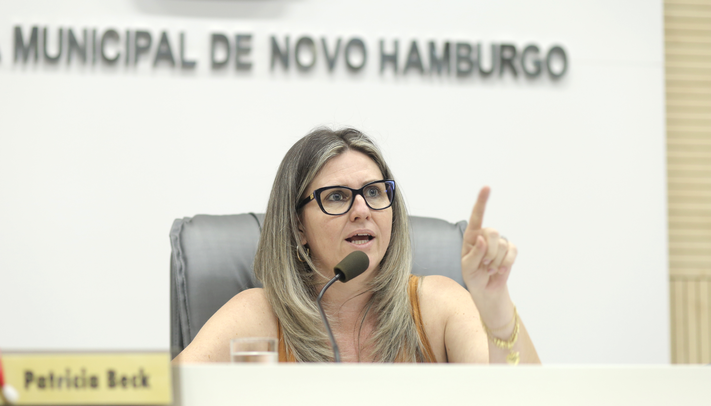 Câmara contará com Procuradoria Especial da Mulher