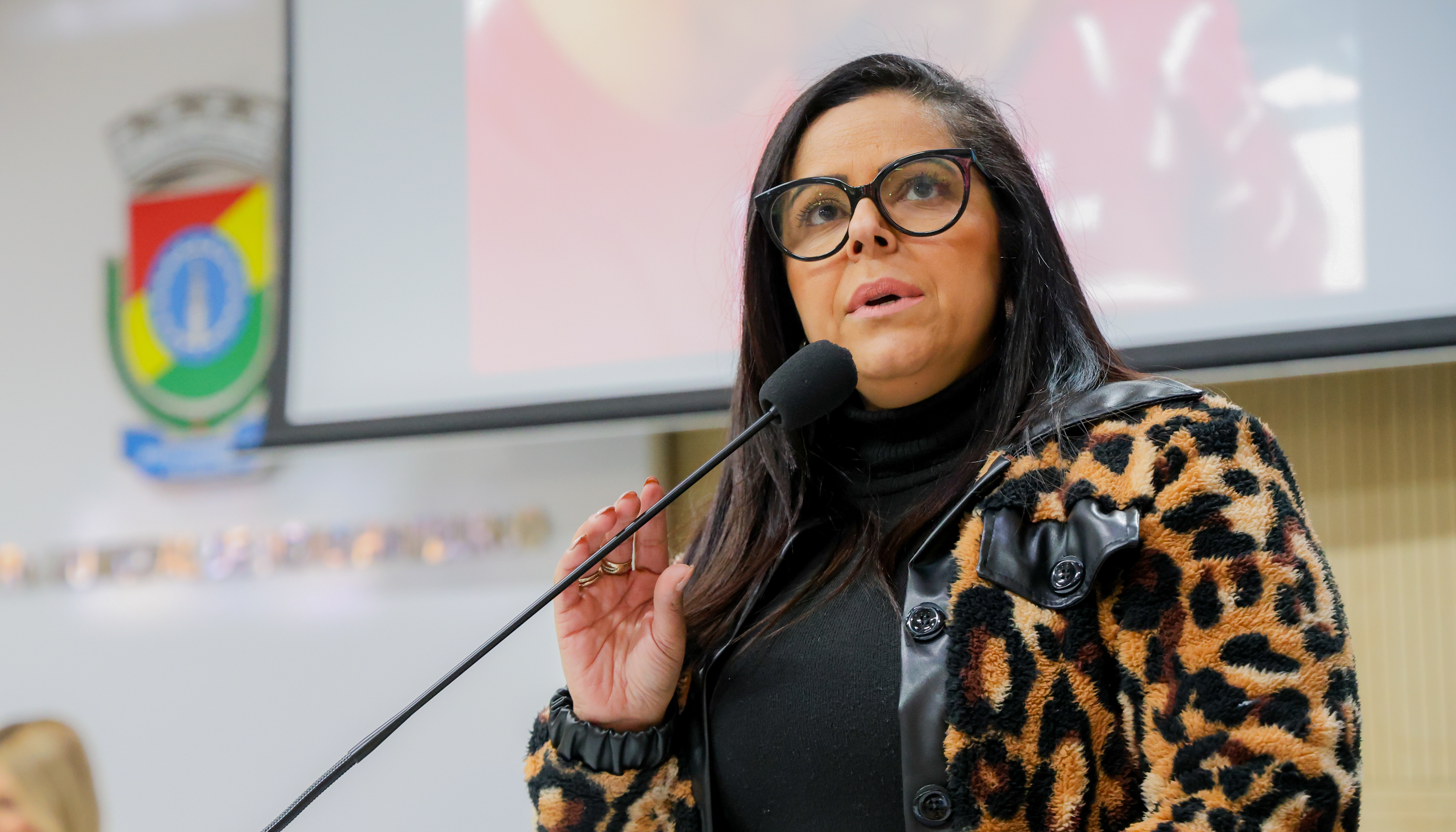 Câmara de Novo Hamburgo aprova proibição de fogos de artifício com estampido