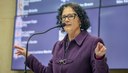 Câmara debate 20 anos da Lei Maria da Penha e os desafios no combate à violência contra a mulher 
