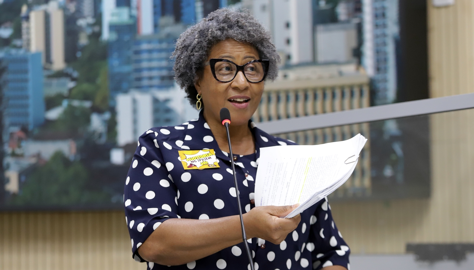 Câmara debate esvaziamento do Fundo do Idoso em Novo Hamburgo