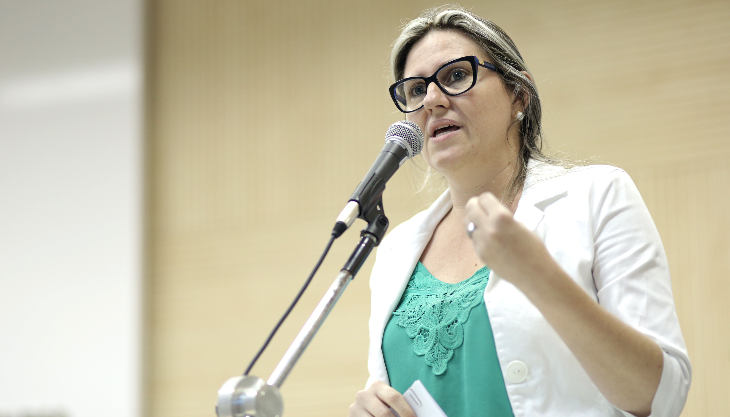 Câmara presta contas do trabalho das comissões em 2017