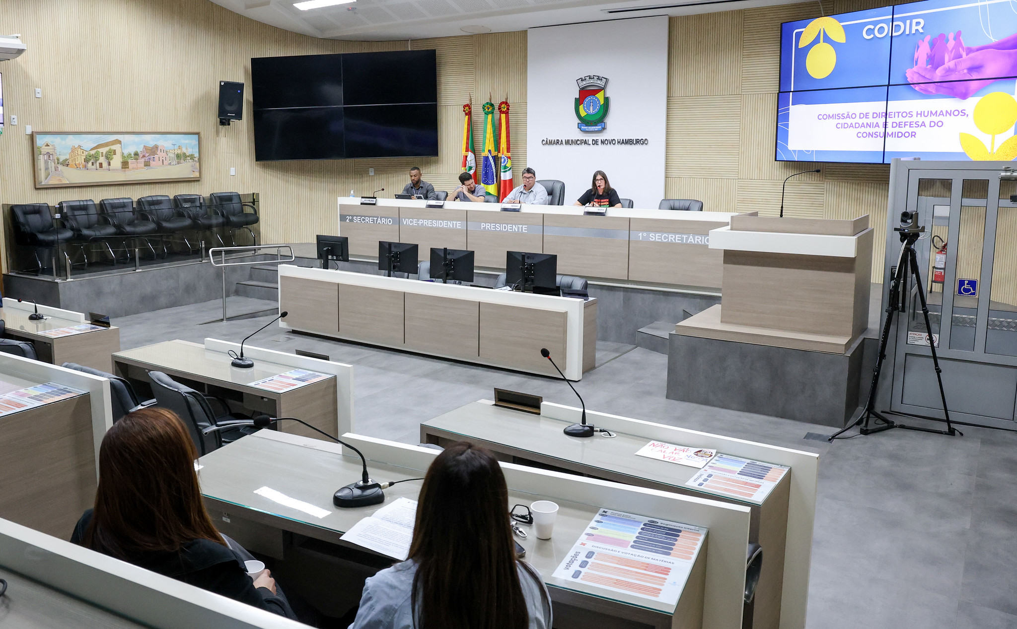 Codir articula seminário para ampliar adesão ao programa Família Acolhedora