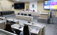 Codir articula seminário para ampliar adesão ao programa Família Acolhedora