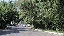 Comissão de Meio Ambiente reivindica poda de árvores na avenida Alcântara
