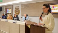 Comissão especial debate revitalização do Centro com secretária de Desenvolvimento Econômico