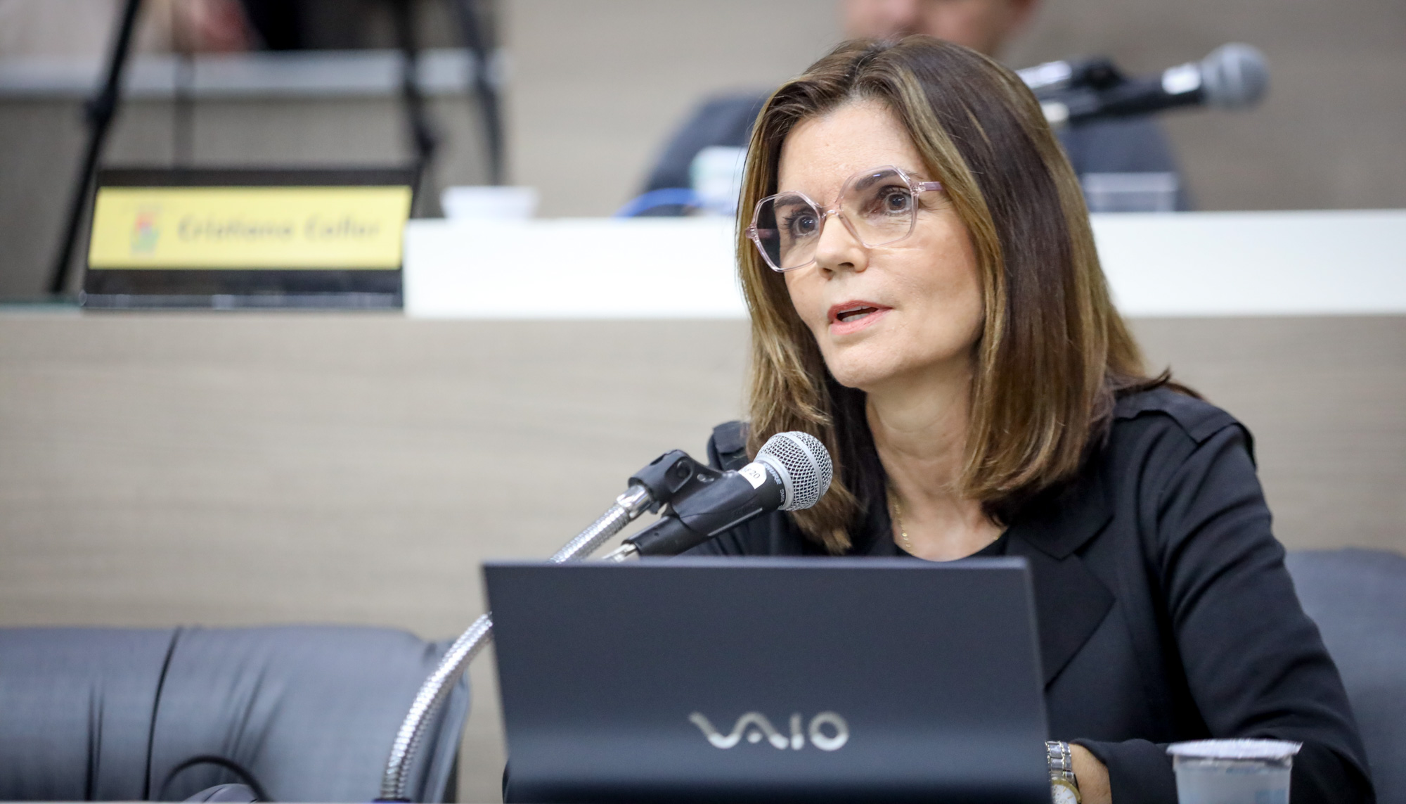 Secretária de Desenvolvimento Urbano presta depoimento à CPI do Transporte Público