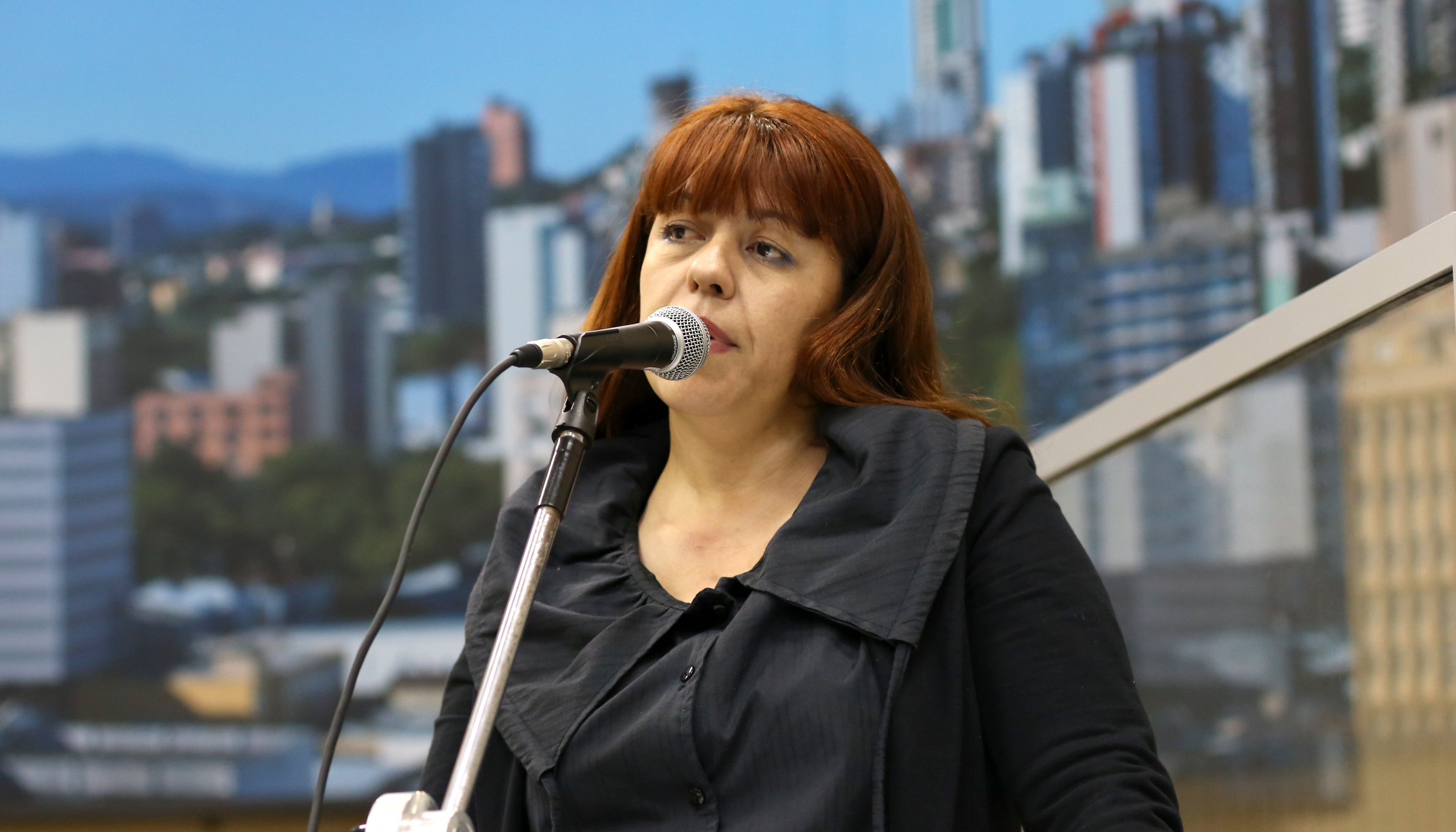 Diretora de Habitação defende aprovação do PL 108/2017