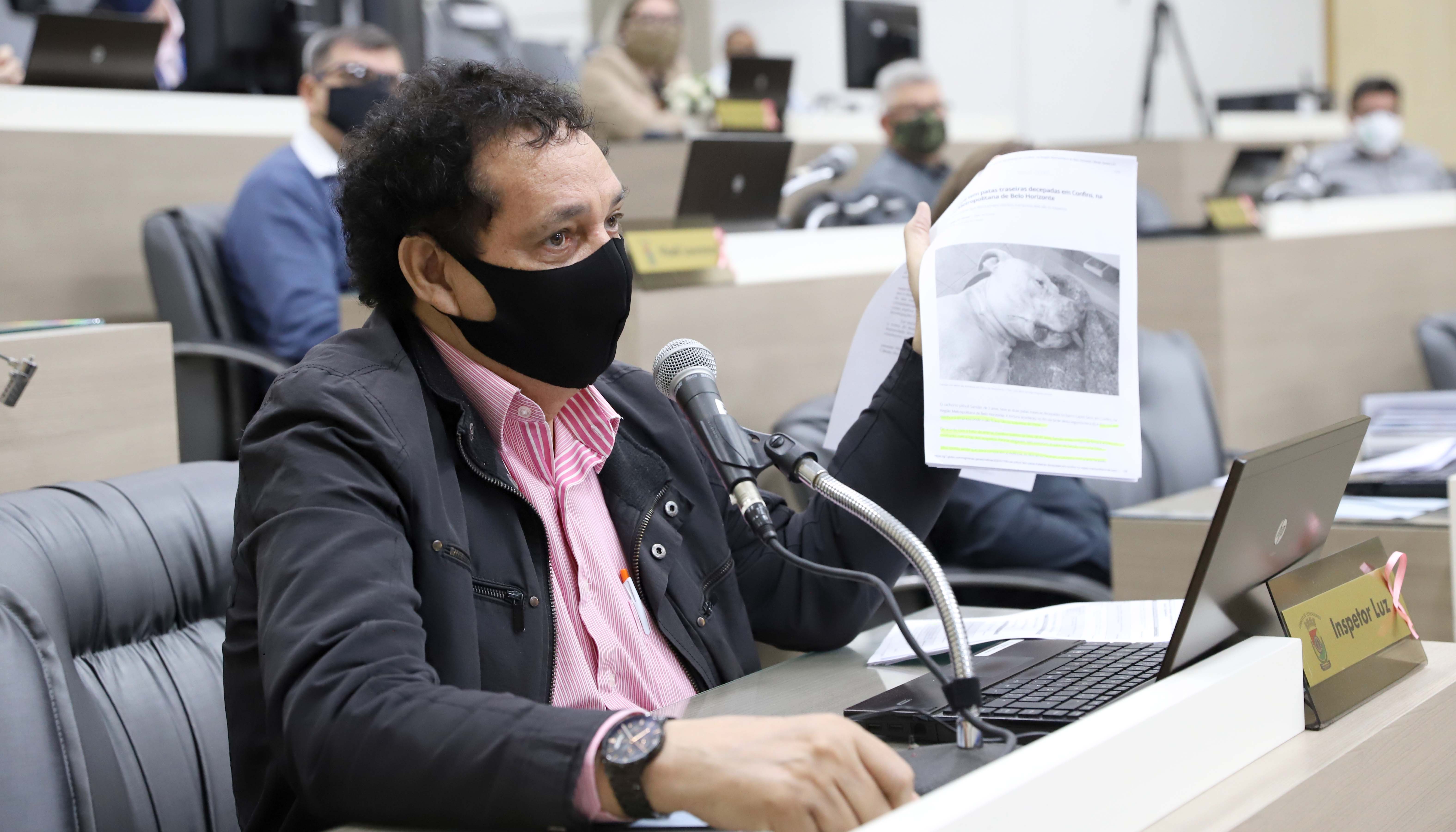 Moção enaltece lei federal que endurece penas por maus-tratos a cães e gatos