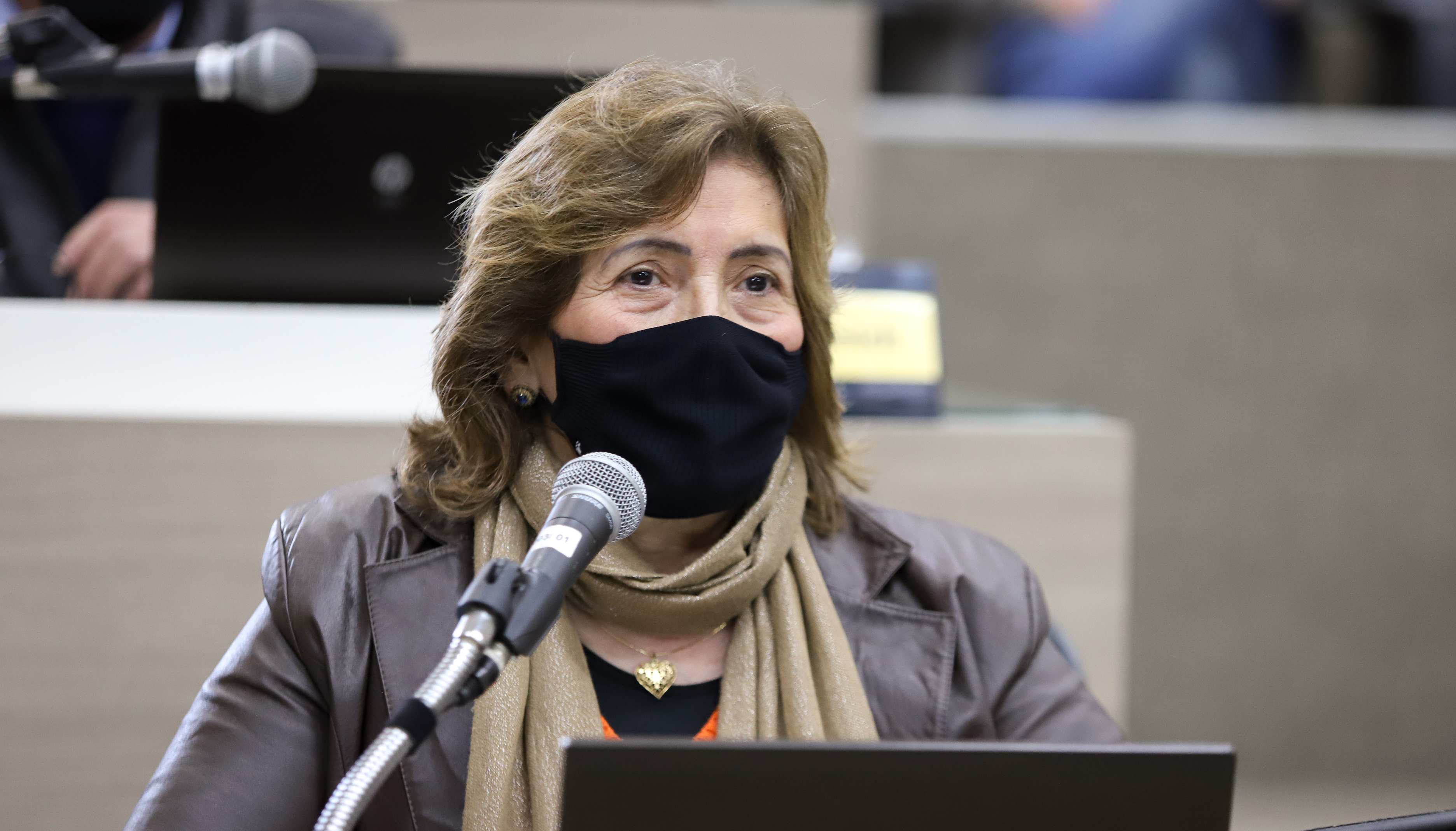 Moção enaltece projeto de lei que cria Zona Franca do Vinho