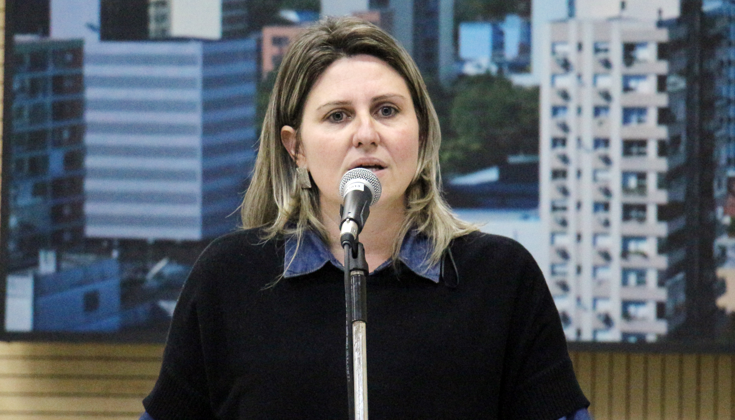 Patricia pede instalação de pontos de energia e banheiros nas feiras de agricultura