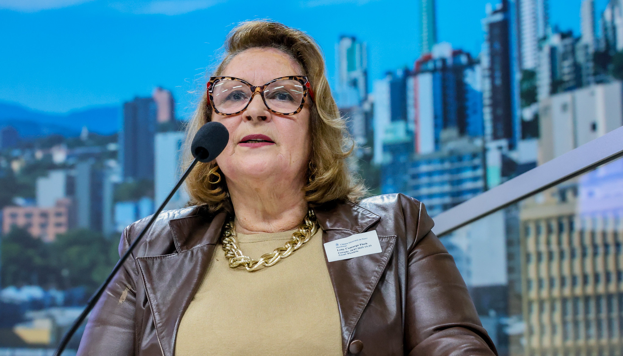 Presidente do CMDCI apresenta demandas e desafios para garantir os direitos da pessoa idosa