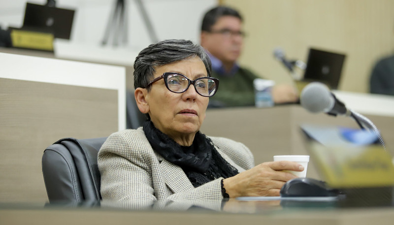 Projeto institui Campanha Agosto Lilás em Novo Hamburgo