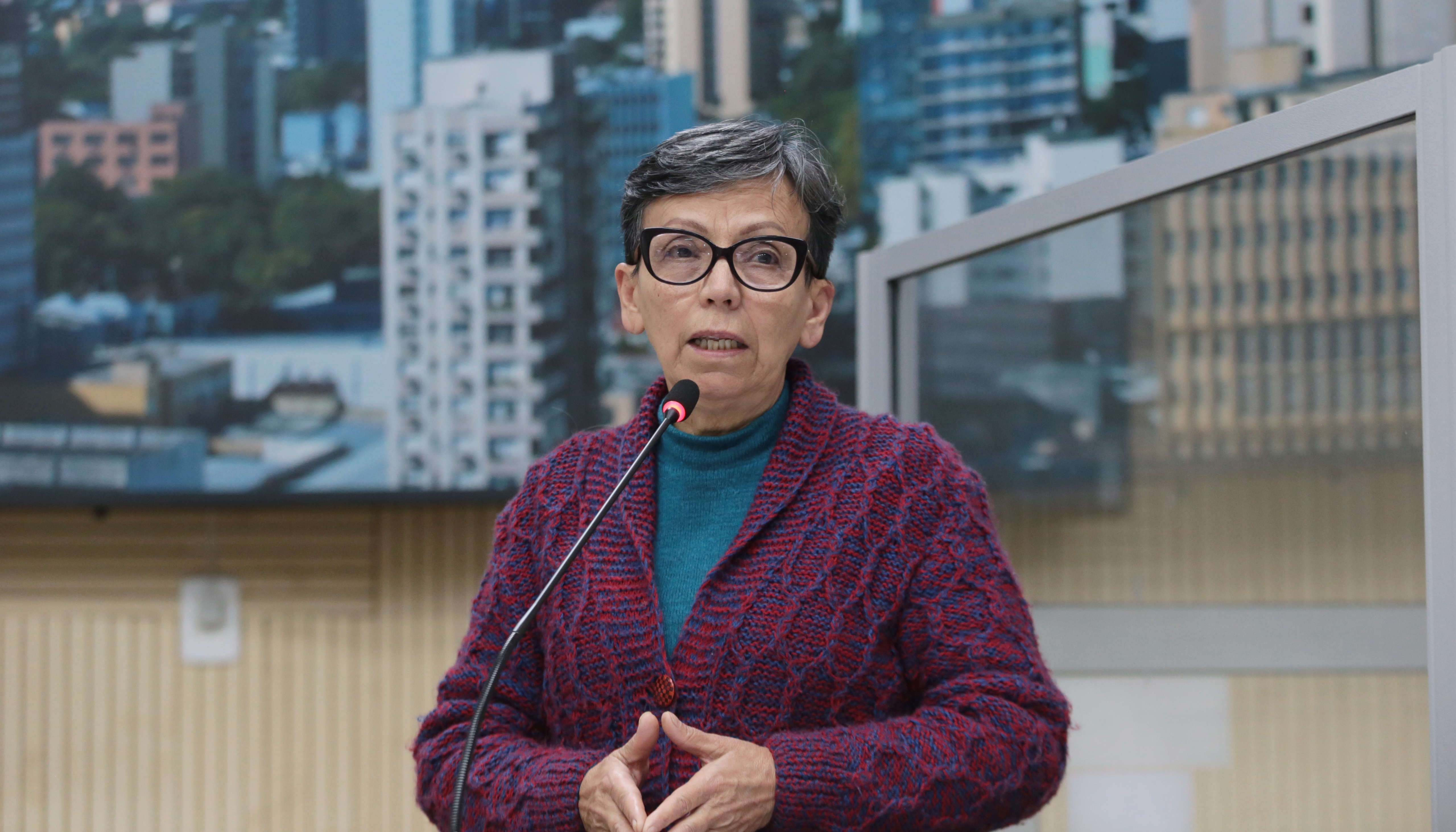 Projeto institui Campanha Agosto Lilás em Novo Hamburgo