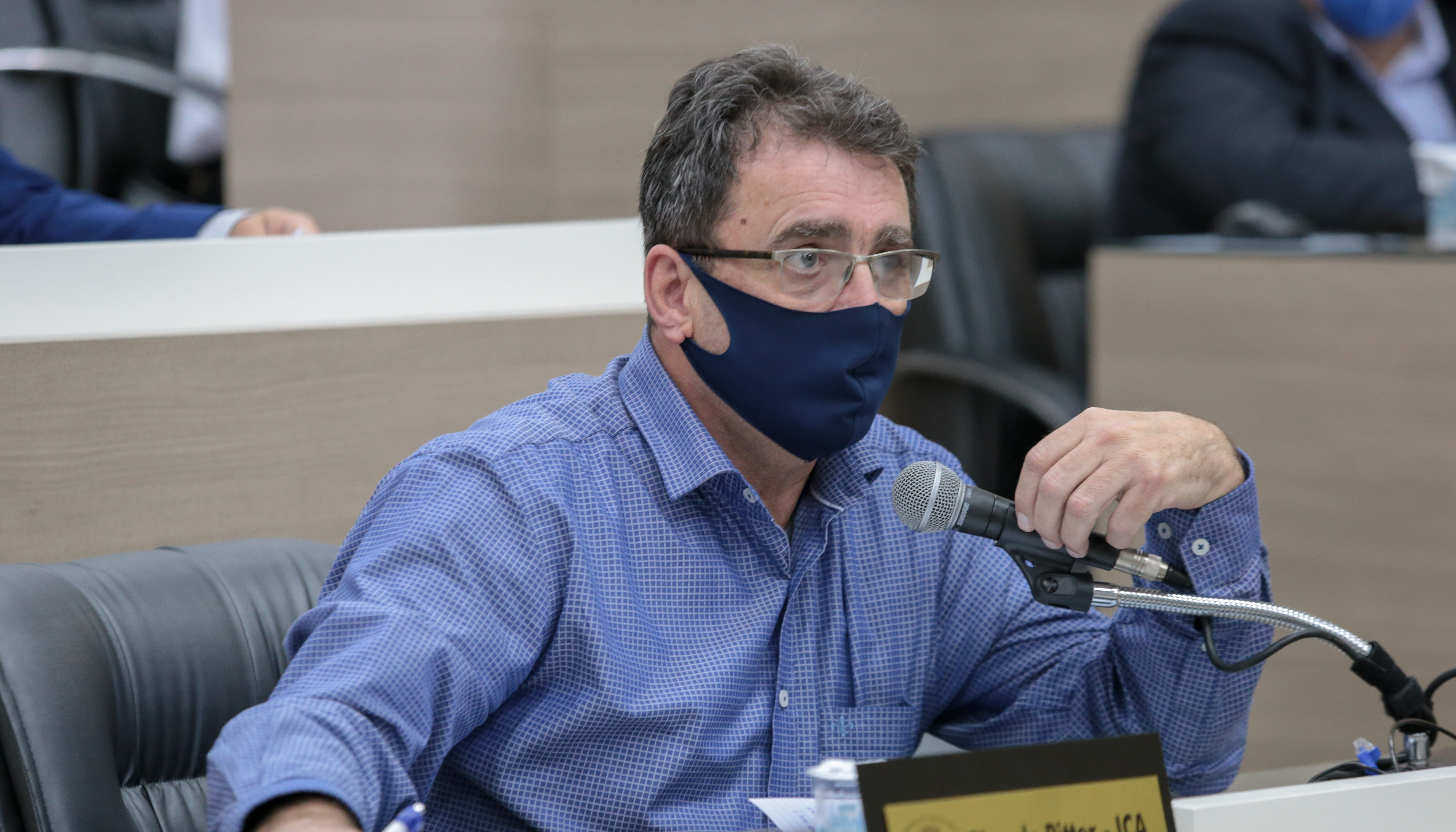 Projeto que permite compensação pecuniária para remoção de árvores tem votação adiada