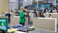 Projeto Vereador Mirim inicia etapa de formação dos estudantes para atuação no Legislativo