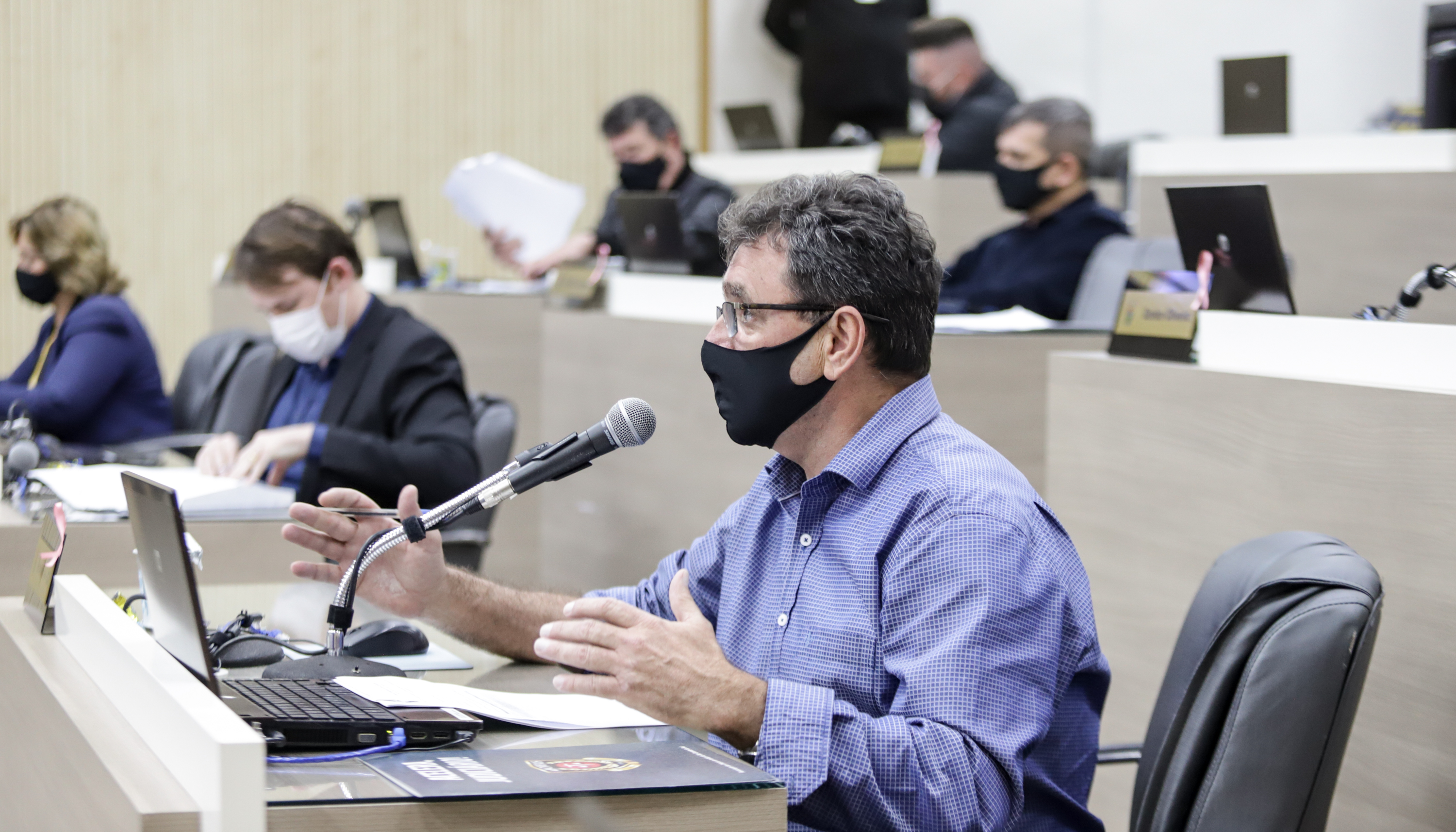 Proposta que permite compensação pecuniária para remoção de árvores deve receber correções