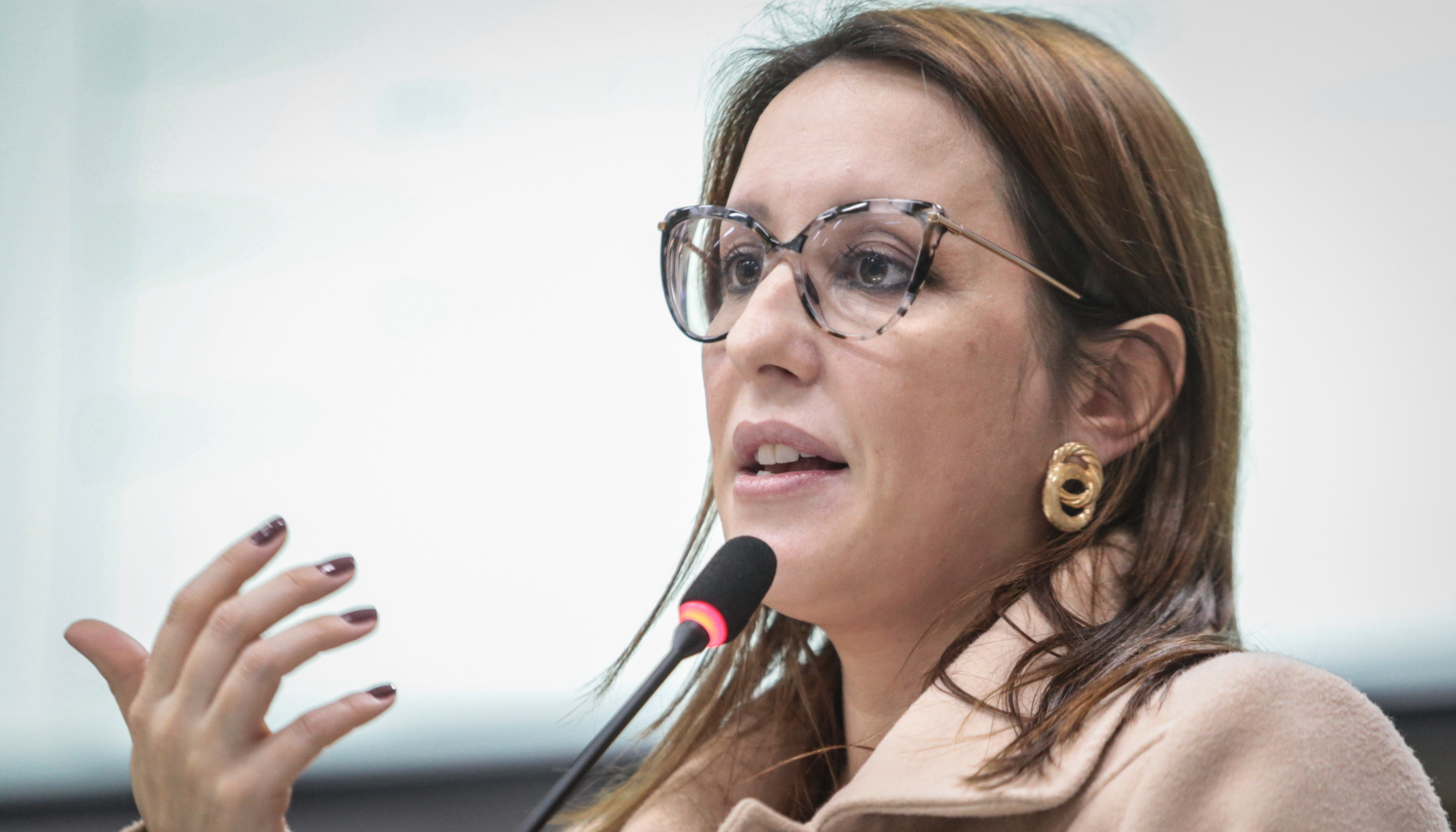 Psicóloga fala sobre atendimento nos Centros de Atenção Psicossocial de NH