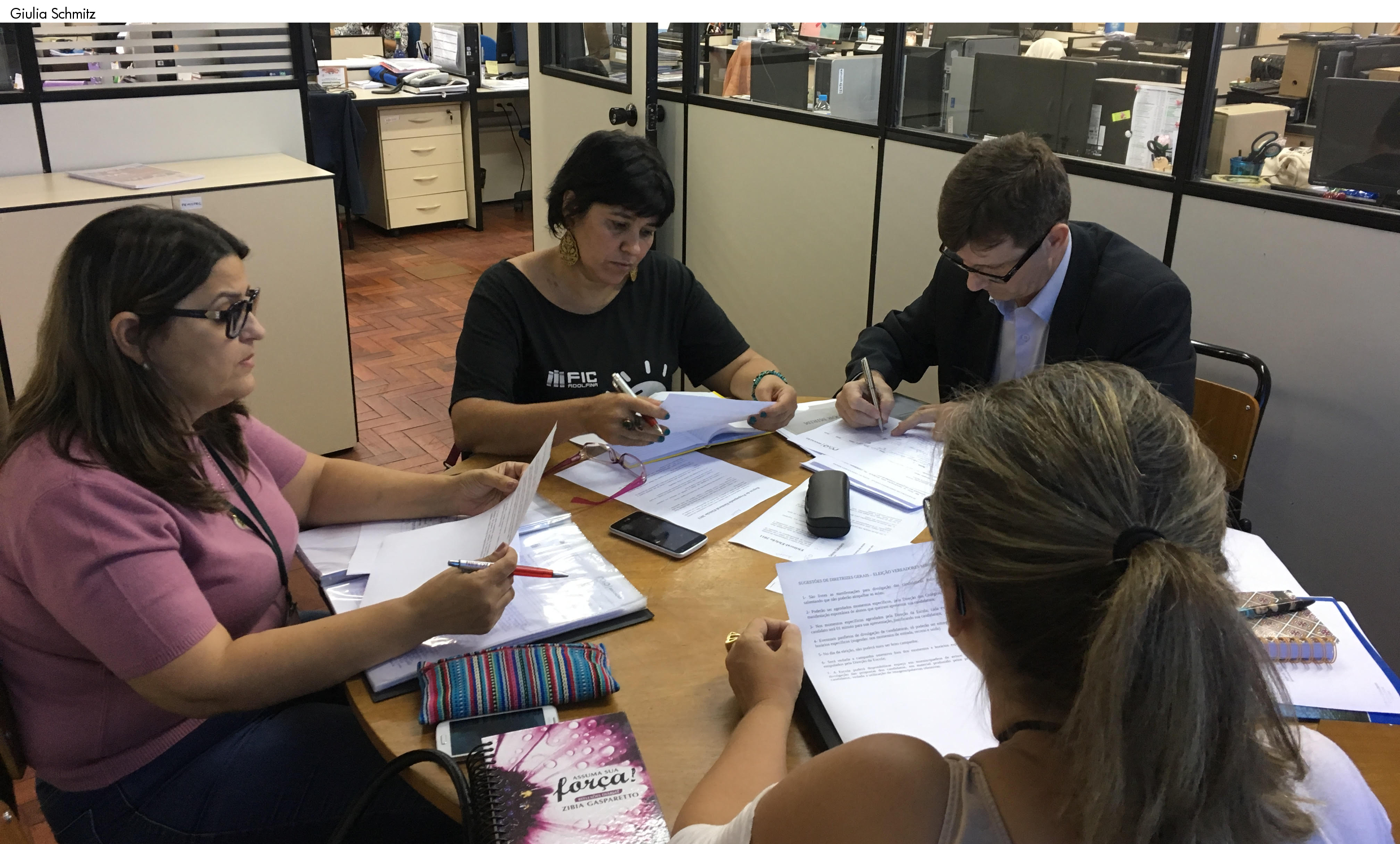 Definidas diretrizes do Vereador Mirim 