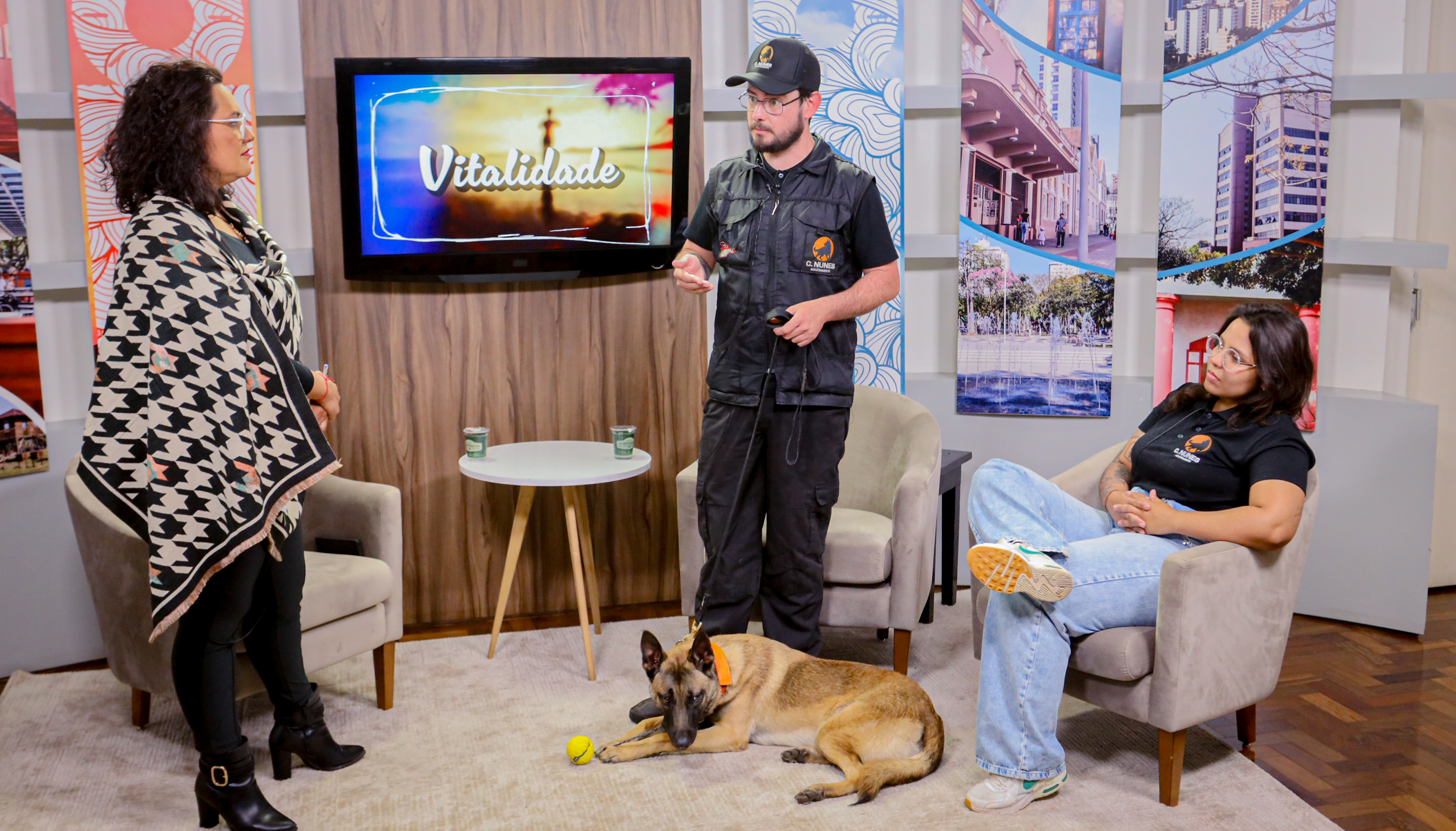 TV Câmara – Adestramento canino: disciplina e carinho para fortalecer a relação com o pet