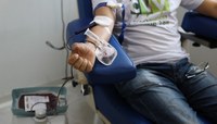 TV Câmara – Doação de sangue e campanha Junho Vermelho voltam a fazer parte da programação 