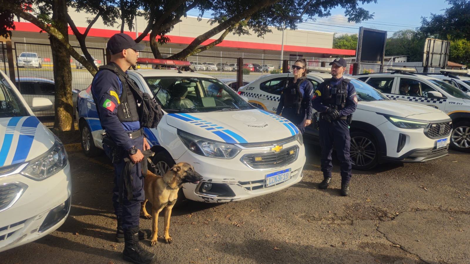 Vereadores aprovam criação do Grupo de Operações com Cães da Guarda Municipal