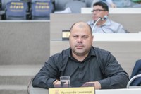 01/07/2019 - Fernando Lourenço encaminha recolhimento de galhos na rua Campo Bom