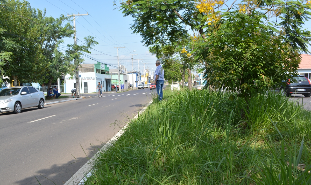 04/04/2019 - Vereador Nor Boeno solicita capina e roçada de canteiro central em trecho da Avenida Pedro Adams Filho no bairro Santo Afonso 