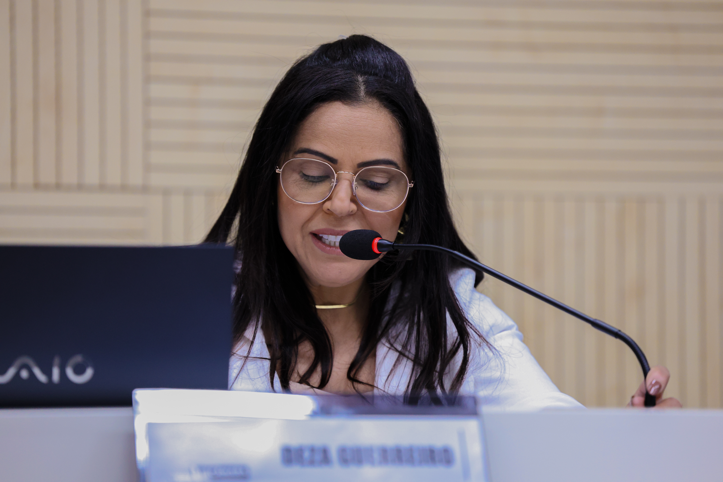 05/06/2025 - Deza Guerreiro propõe medidas para reforçar segurança em Lomba Grande