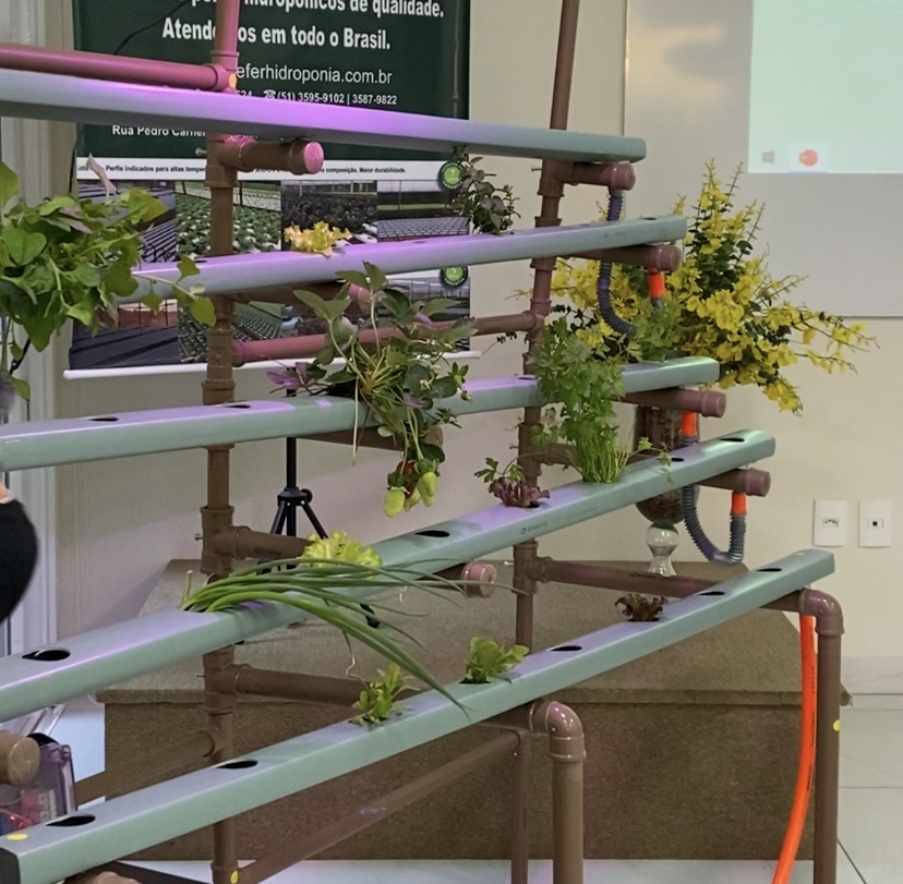 06/08/2021 - Gabinete da presidência acompanha apresentação de projeto interdisciplinar de horta hidropônica para escolas